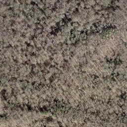 Vue satellite de Cabane forestière de la Borne des Trois Puissances à Réchésy