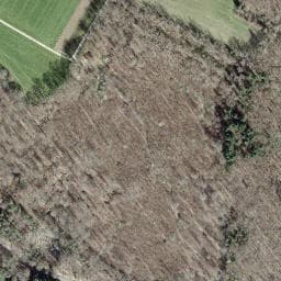 Vue satellite de Abri de Pfetterhouse à Pfetterhouse