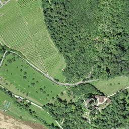 Vue satellite de Unterstand bei Burg Birseck à Neuwiller