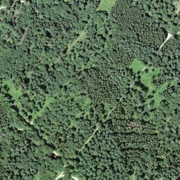 Vue satellite de Waldhütte Muni à Neuwiller