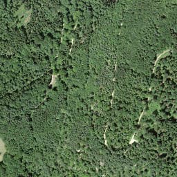 Vue satellite de Waldhütte Grammet à Huningue