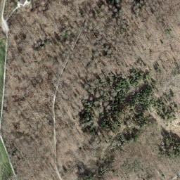 Vue satellite de Cabane forestière du Rond-Bois à Villars-le-Sec