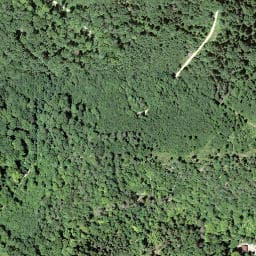 Vue satellite de Waldhütte Böckterflue à Huningue