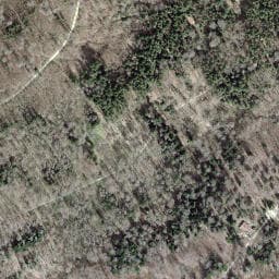 Vue satellite de Cabane forestière les Ronds Prérats à Courtavon