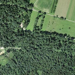 Vue satellite de Chöpfligrubenhütte à Leymen