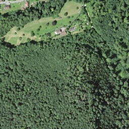 Vue satellite de Blüttenenchöpfli-Hütte à Biederthal