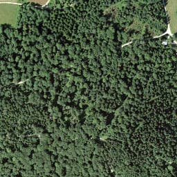 Vue satellite de Waldhötte Föhrebänggli à Leymen