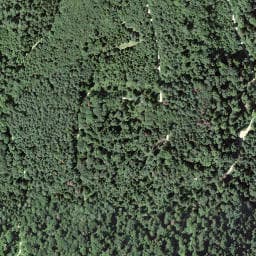 Vue satellite de Bürgerhütte Itingen à Huningue