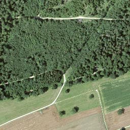 Vue satellite de Forsthütte Burgerkorporation Röschenz à Biederthal