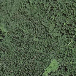 Vue satellite de Unterstand Blomd à Neuwiller