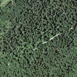 Vue satellite de Waldhütte Challwiti à Wolschwiller