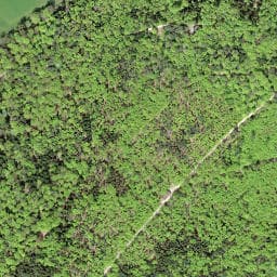 Vue satellite de Schutzhütte Holzenberg à Neuwiller