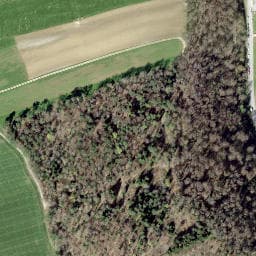 Vue satellite de Cabane forestière la Perche à Montancy