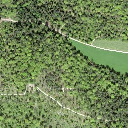 Vue satellite de Waldhütte Chlummen à Kiffis