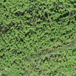 Vue satellite de Waldhütte der Vorstadtbürgergemeinde Laufen à Biederthal
