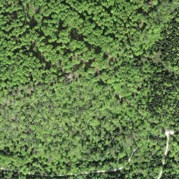 Vue satellite de Waldhütte Hüttenboden à Biederthal