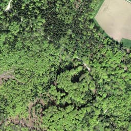 Vue satellite de Brunnen (15) à Biederthal