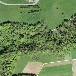 Vue satellite de Waldhütte Mattweid à Neuwiller