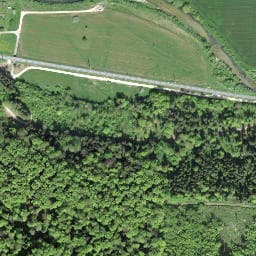 Vue satellite de Cabane forestière de Riedes-Dessus à Kiffis