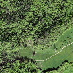 Vue satellite de Waldhütte Riedbächli à Biederthal