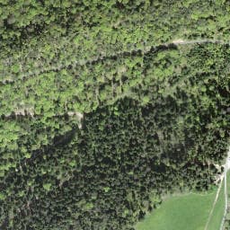 Vue satellite de Waldhütte Nunningerberg à Leymen
