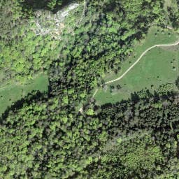 Vue satellite de Brunnen Alte Stelli à Biederthal