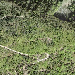 Vue satellite de Cabane forestière de Courchapoix à Wolschwiller