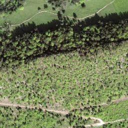 Vue satellite de Chalet le Champé à Wolschwiller