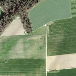 Vue satellite de Cabane forestière Piamont à Wolschwiller