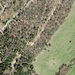 Vue satellite de Cabane forestière Côte de Boécourt à Levoncourt