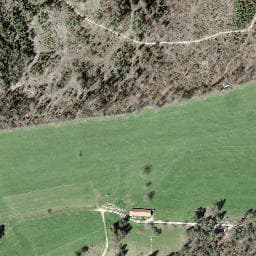 Vue satellite de Cabane forestière du Plain-Fayen à Wolschwiller