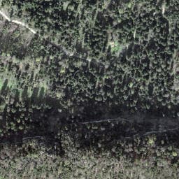 Vue satellite de Cabane forestière les Vieux Ponts à Kiffis