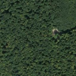 Vue satellite de Cabane de la hêtraie du Barbeau à Servin