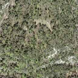 Vue satellite de Cabane de la Combe des Geais à Kiffis