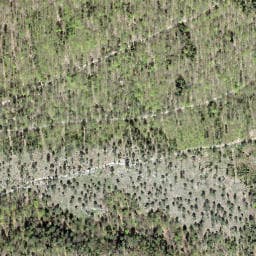 Vue satellite de Unterstand Cholholz à Wolschwiller