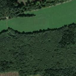 Vue satellite de Cabane du bois des Rochettes à Laviron