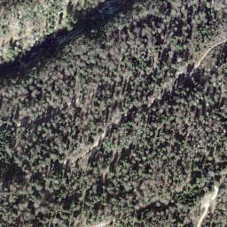 Vue satellite de Abri de l'Antre du Loup à Charquemont