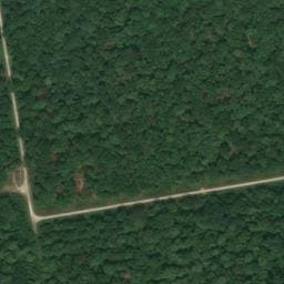 Vue satellite de Cabane de la Route forestière Notre Dame à Étrepigney