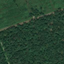 Vue satellite de Baccu du Chien Pendu à Falletans