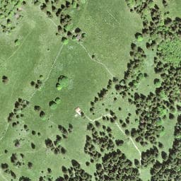 Vue satellite de Cabane de la Menée à Grand'Combe-des-Bois