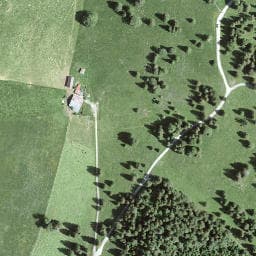 Vue satellite de Les Grandes Fauconnières à Montlebon