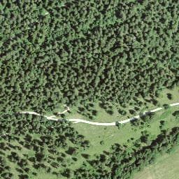 Vue satellite de Cabane des Côtes à Verrières-de-Joux