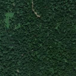 Vue satellite de Cabane du bois de Foye d'Aresches à Aresches