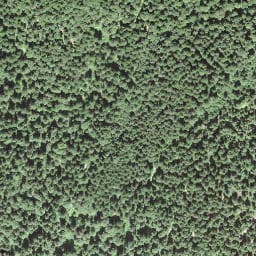 Vue satellite de Fontaine des Fées à Verrières-de-Joux