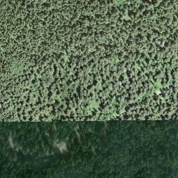 Vue satellite de Refuge de la Joux à Les Hôpitaux-Vieux