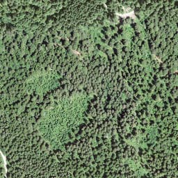 Vue satellite de Cabane de la Limasse à Les Hôpitaux-Vieux