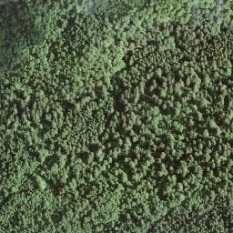 Vue satellite de Cabane du Petit Nerveau à Jougne