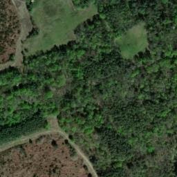 Vue satellite de Cabane du Pinail Sud-Est à Bonneuil-Matours