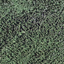 Vue satellite de Refuge Kennedy à Mouthe