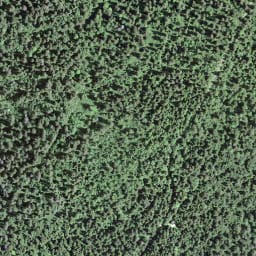 Vue satellite de Les Fougères à Mouthe